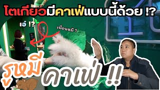 รูหมีคาเฟ่ ! โตเกียวมีคาเฟ่แบบนี้ด้วยเรอะ !? | Anakuma Cafe Tokyo【Japan Vlog】