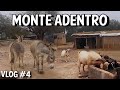 ASI es la vida MONTE ADENTRO en Santiago del Estero | Ellos me cuentan como es VIVIR en el CAMPO