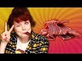 Irish People Try American Beef Jerky