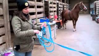 HORSE LUNGEING HOW-TO's - How to Roll Up the Lunge Line