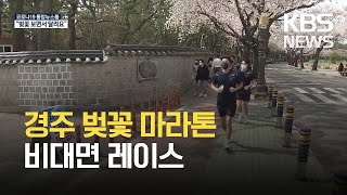 벚꽃길에 봄 기운 가득…경주 비대면 마라톤 ‘스타트’ / KBS 2021.03.27.