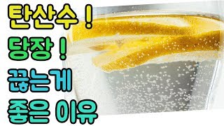 탄산수를 당장 끊어야 하는 이유!  (탄산수 다이어트/탄산수 효능/탄산음료 위험성/탄산수 추천)