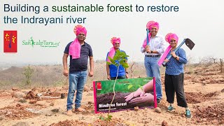 Building a sustainable forest to restore the Indrayani river