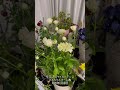 【sd】2025年1月30日 冬の花が咲いています。 flowers garden 癒し 自然 naturelovers 薔薇は美しく散る ばらの花 rosegarden