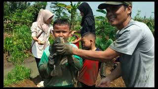 RA Diponegoro & KB Nurul Huda Kedungdawa - Pengadegan outing class di Sdann Farm