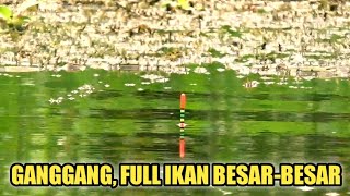 FULL IKAN BESAR BESAR‼️MUMPUNG MASIH SEPI, KITA MANCING DISINI LAGI