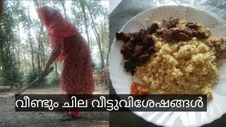 ഞാൻ ഇങ്ങനെയൊക്കെയാണ്.....//#Home vlog //#Aaaluuus world