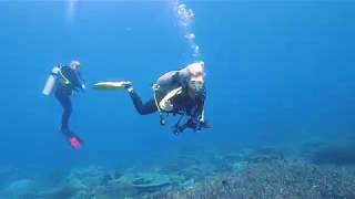 Our Search For Bonaire's Lost Coral - Northern Raja Ampat Ep. 6