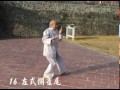 bagua taiji quan 八卦太極拳