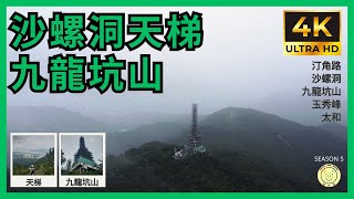 [行山郊遊] 沙螺洞天梯➡️九龍坑山 | 鳳園路, 沙螺洞村公廁, 九龍坑山, 玉秀峰, 林村河 | 衛奕信徑 | 4K拍攝 | GPX | 全程8公里 | 航拍 | 路線分享 #hiking