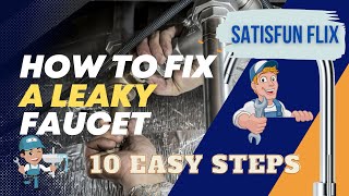 A Comprehensive Guide on How to Fix a Leaky Faucet | SatisFun Flix #Repairs #Plumbing #DIYPlumbing