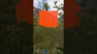 Cheater Was Loaded On Wipe Day