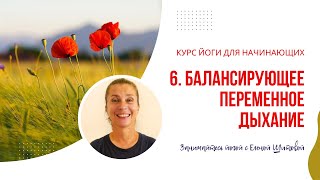 6. Балансирующее переменное дыхание / Курс йоги для начинающих