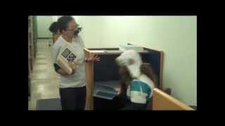 MSU Library: Tips for Finals