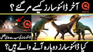 Dinosaur | Surprising Dinosaurs Facts to Blow Your Mind | QaQ Tv