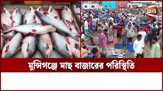 মুন্সিগঞ্জে মাছ বাজারের বর্তমান পরিস্থিতি | Fish Market | Munshiganj | Channel 24