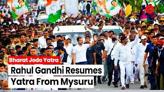 LIVE - Congress Bharat Jodo Yatra: Rahul Gandhi Resumes Yatra From Mysuru, Karnataka