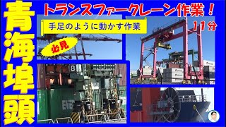 【必見！】ガントリークレーンが伸びる瞬間やトランスファークレーンの海コン運搬など晴海埠頭😀🚂