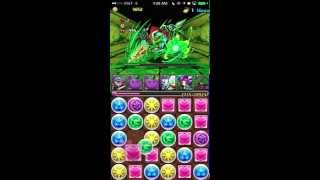 パズドラ　ドラりん 降臨！ 龍騎士？ 超級 Puzzle \u0026 Dragons, Draggie descended, Master, Vampire lord/Batman team