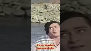 Main Hu Woh Jhoka | Mohammed Rafi | Shammi Kapoor | Janwar 1965