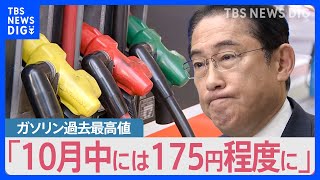 レギュラーガソリン15年ぶりに最高値更新　政府は“6兆円”ガソリン補助金「延長」へ　見えない出口【news23】｜TBS NEWS DIG