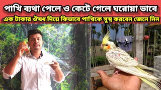 পাখি ব্যাথা পেলে কেটে গেলে ঘরোয়া উপায় সুস্থ করবেন || bird injured wing treatment | Birds of village