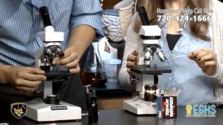 Cheek cell lab