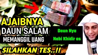 DAUNNYA NABI KHIDIR ! Taruh Satu Lembar Di Dompet, Lihat Dan Rasakan Khasiatnya Langsung