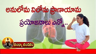 Anulom Vilom Pranayama Benefits telugu అనులోమ్ విలోమ్ ప్రాణాయామ ప్రయోజనాలు Breathing Stress Relief