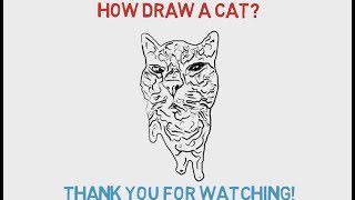 How Draw A Cat