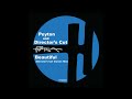 peyton u0026 director s cut beautiful original mix