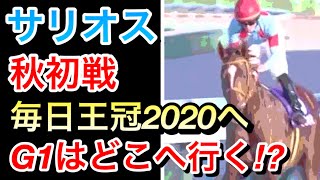 【競馬】サリオスは毎日王冠2020から始動へ。G1はどこを使うのか！？