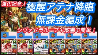 極醒アテナ降臨　無課金編成！