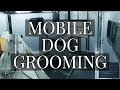 MOBILE dog grooming with Diamond In The Ruff Mobile Pet Spa!