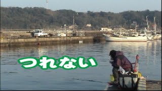 釣れない時の過ごし方(30話目)