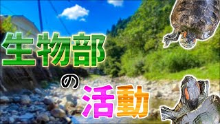 【淳心祭2021】生物部の活動