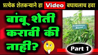 बांबू शेती करावी की नाही | Is Bamboo Farming Profitable | वनशेती | Sayad Salim | Shivar News 24