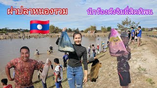 ผ่าปลาหนองรวมของหมู่บ้าน‼️ พ้อนักร้องดังของลาว🇱🇦