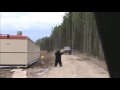 oilfield bear prank