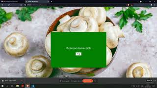 Mushroom classification using Deep learning in pytorch