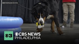 Philadelphia Wings' popular Bark in the Bowl returns to Wells Fargo Center