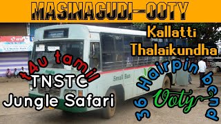 4K-Video | TNSTC Masinagudi To Ooty | Mudumalai Tiger Reserve \u0026 NATIONAL PARK Kallatti | Tn43 rider