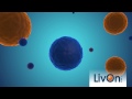 livon labs lypo spheric delivery system spot