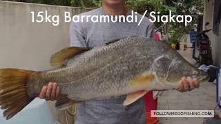 15kg Barramundi/Siakap at Pontian