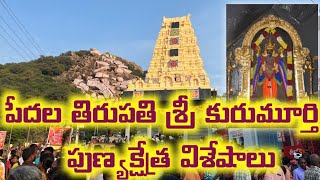 part-2 తెలంగాణ పేదల తిరుపతి శ్రీ శ్రీ కురుమూర్తి స్వామి పుణ్యక్షేత్ర విశేషాలు//ashok vlogs telugu