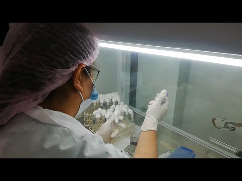 What is the significance of bacteriological water testing?