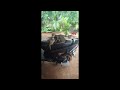 റ്റാറ്റ ഞങ്ങൾ പോയി വരാം 🐈😺 cat catlover catfunny cute cutecat entertainment subscribe 2023