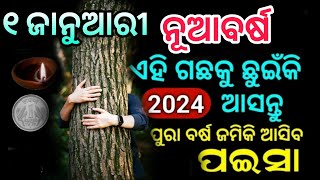 New year 2024, ନୂଆବର୍ଷ ଏହି ଗଛ କୁ ଛୁଇଁକି ଆସନ୍ତୁ ପୁରା ବର୍ଷ ଜମିକି ଆସିବ ପଇସା, vastu tips