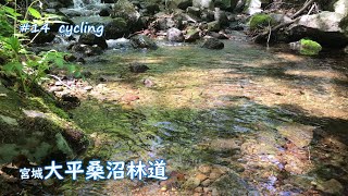 14cycling 宮城仙台大平桑沼林道