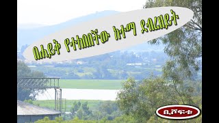 Bishofetu ..... The city surrounded  by lake debrezeit - ቢሾፍቱ…..በሀይቅ የተከበበችው  ከተማ ደብረ ዘይት